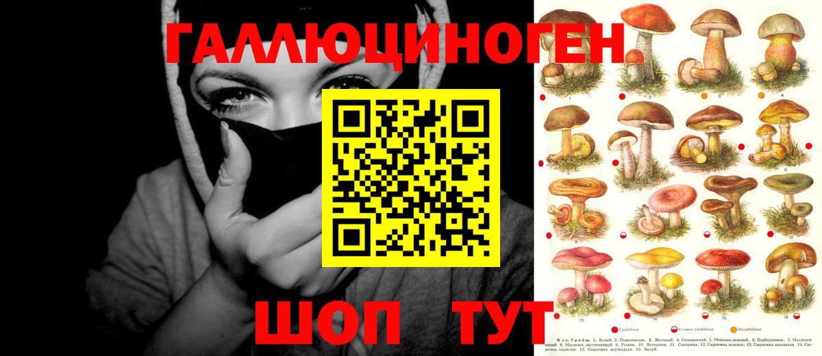 Псилоцибиновые грибы Psilocybine cubensis  Вход с VPN  Минеральные Воды 
